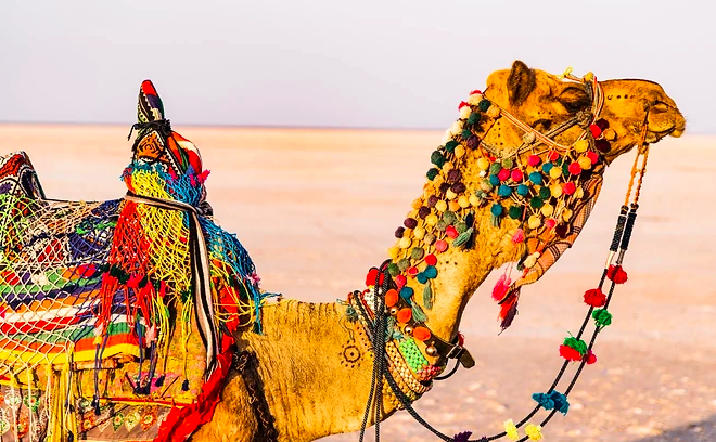 Screen Shot 2020 09 08 At 5.00.09 Pm 1