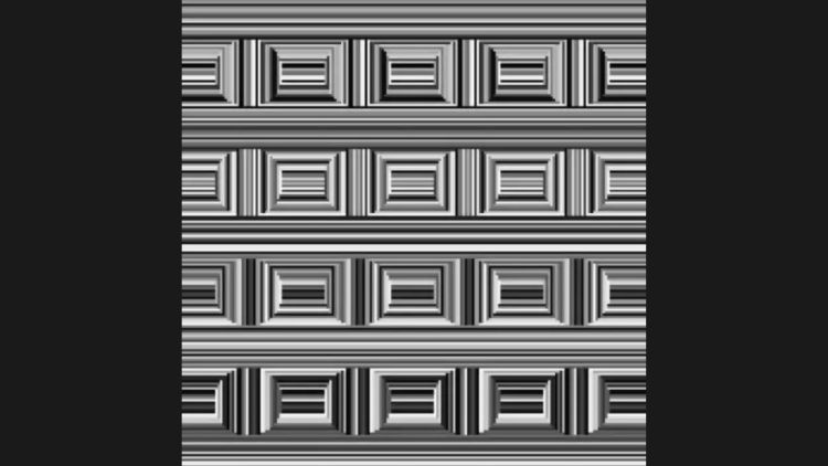 Optical Illusion: Can You See All 16 Circles In This Picture?