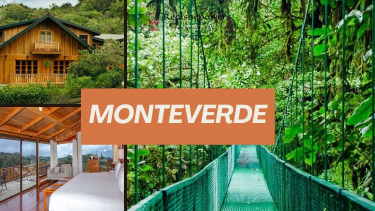 Discover The Magic Of Monteverde: 5 Best Places To Stay
