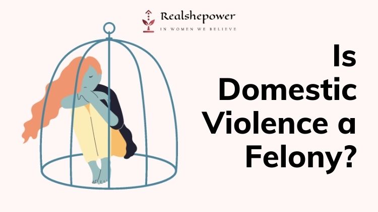 Is Domestic Violence A Felony In The United States?