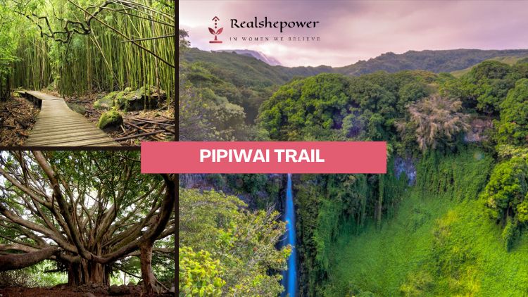Pipiwai Trail - Maui