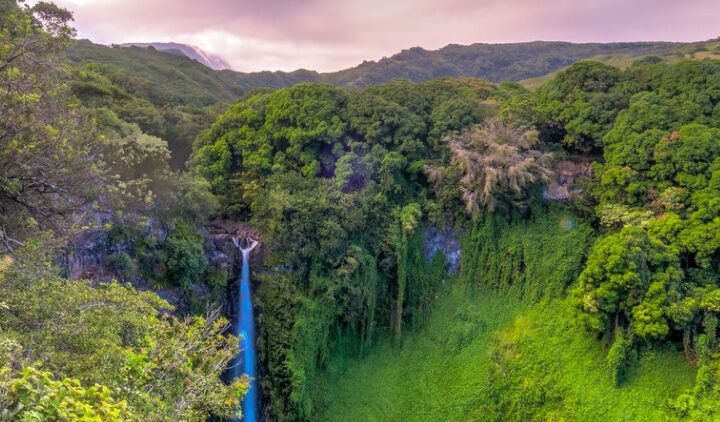 Top 10 Hikes In Hawaii