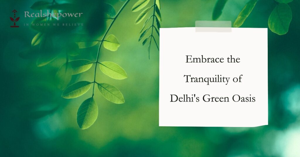Conclusion: Embrace The Tranquility Of Delhi'S Green Oasis