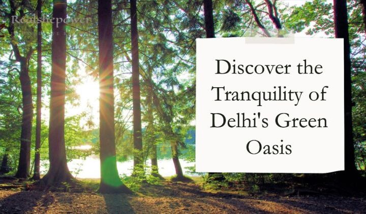 Delhi’S Green Oasis: Serenity Amidst The Chaos In The City’S Parks And Gardens