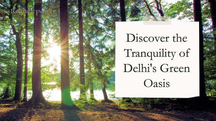 Delhi’S Green Oasis: Serenity Amidst The Chaos In The City’S Parks And Gardens