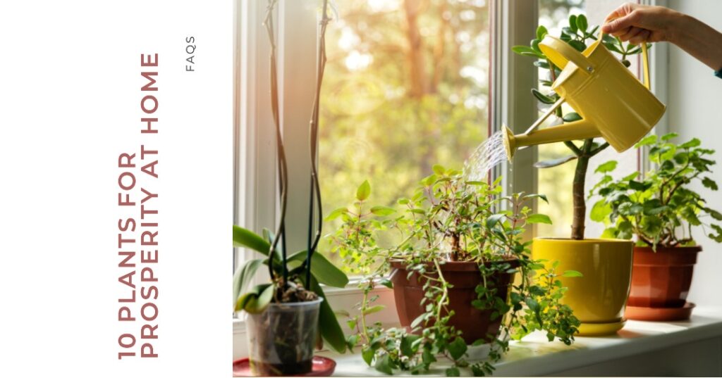 10 Plants For Prosperity At Home