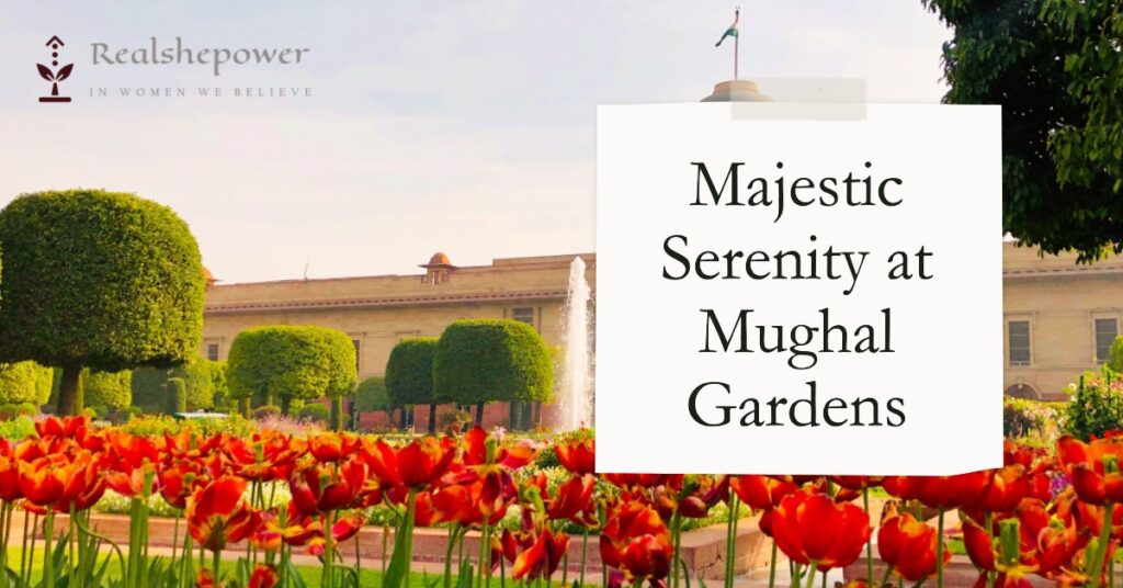 Majestic Serenity At Mughal Gardens