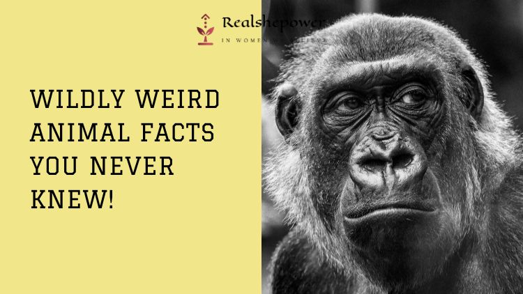 10 Crazy Animal Facts That Will Blow Your Mind!