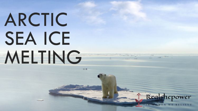 Arctic Sea Ice Melting Rsp