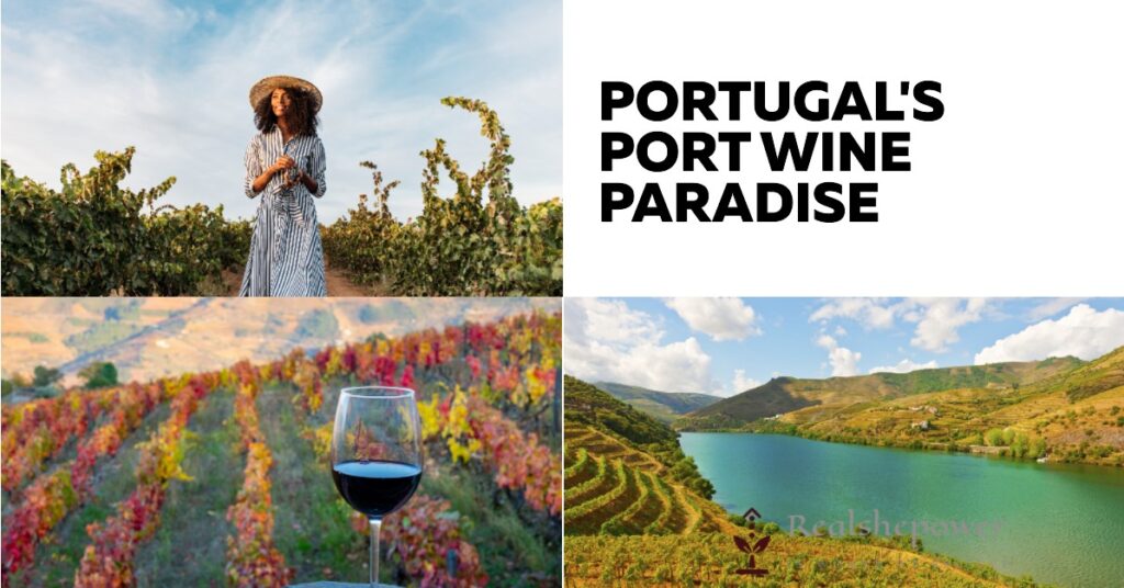 Portugal'S Port Wine Paradise: The Alluring Charms Of The Douro Valley