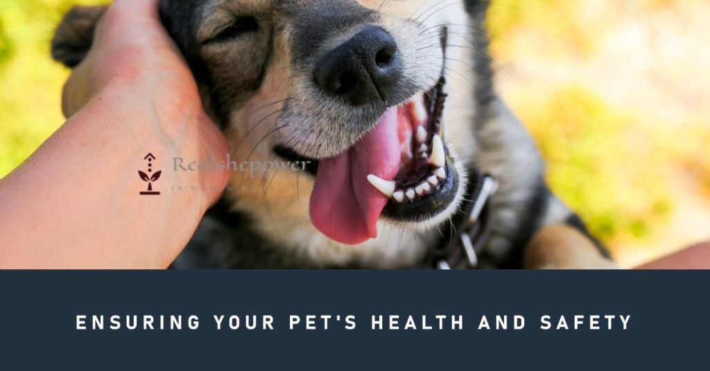 Ensuring Your Pet'S Health And Safety