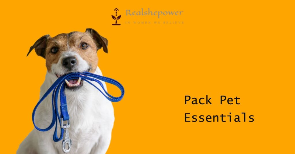 Pack Pet Essentials