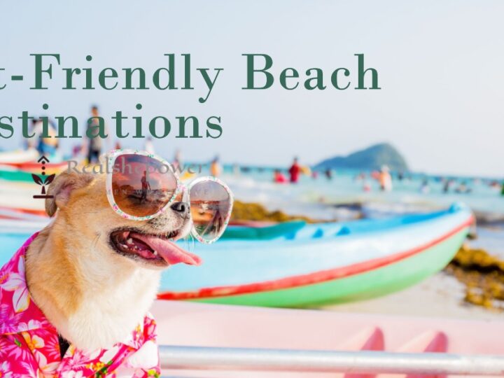 Pet-Friendly Beach Destinations: Sun, Sand, And Wagging Tails