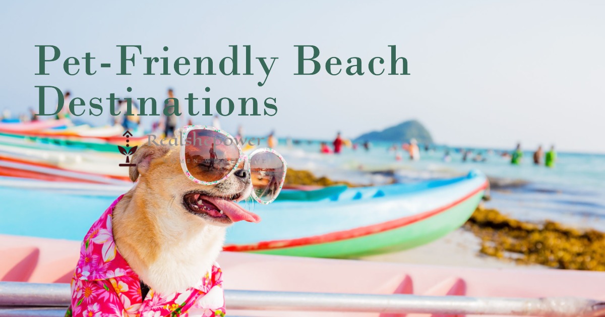 Pet-Friendly Beach Destinations: Sun, Sand, And Wagging Tails