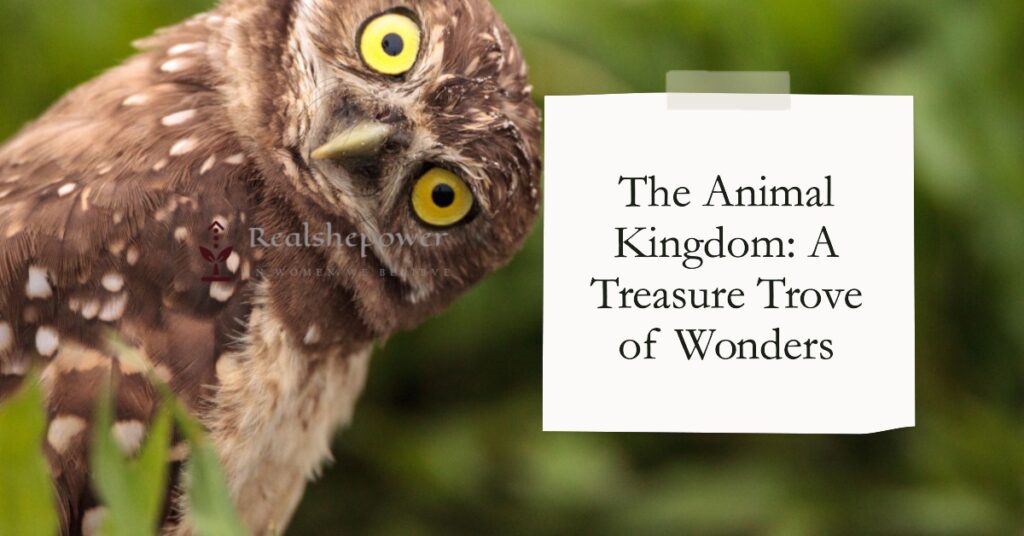 The Animal Kingdom: A Treasure Trove Of Wonders