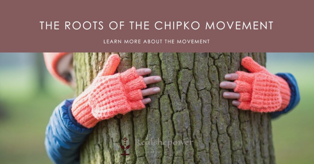 The Roots Of The Chipko Movement