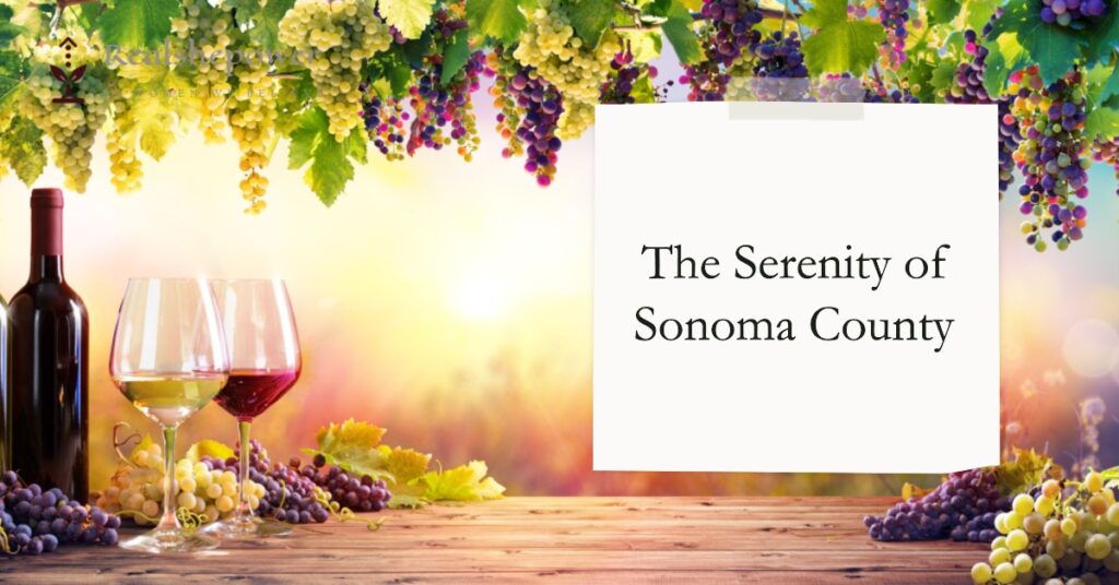 The Serenity Of Sonoma County: A Tranquil Wine Escape