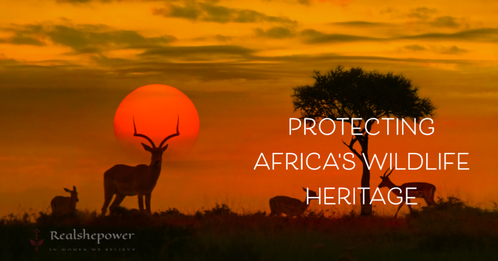 Protecting Africa'S Wildlife Heritage