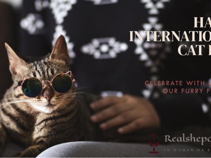 Celebrating International Cat Day: A Meow-Tastic Day For Feline Fans!