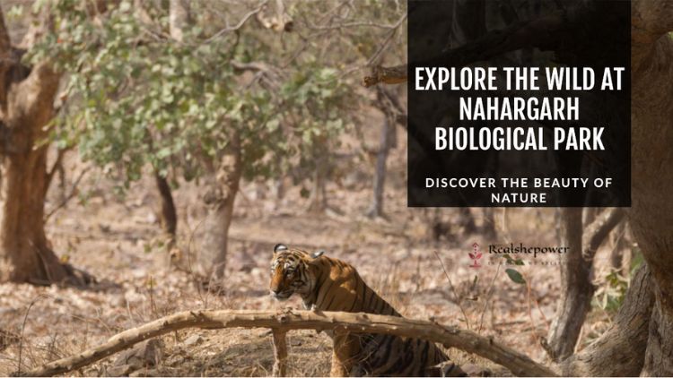 Nahargarh Biological Park