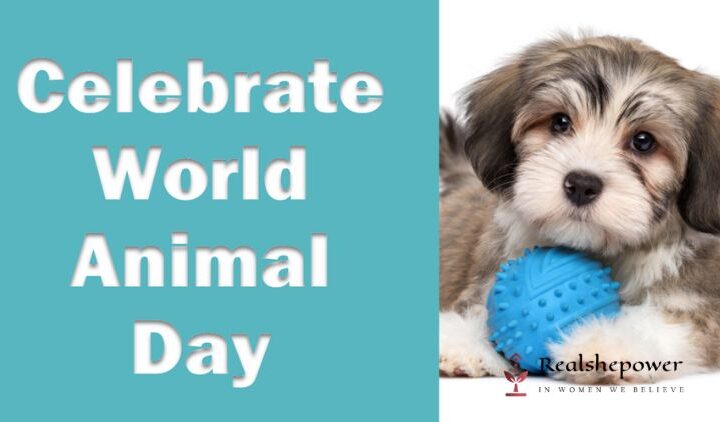 A Dive Into World Animal Day!