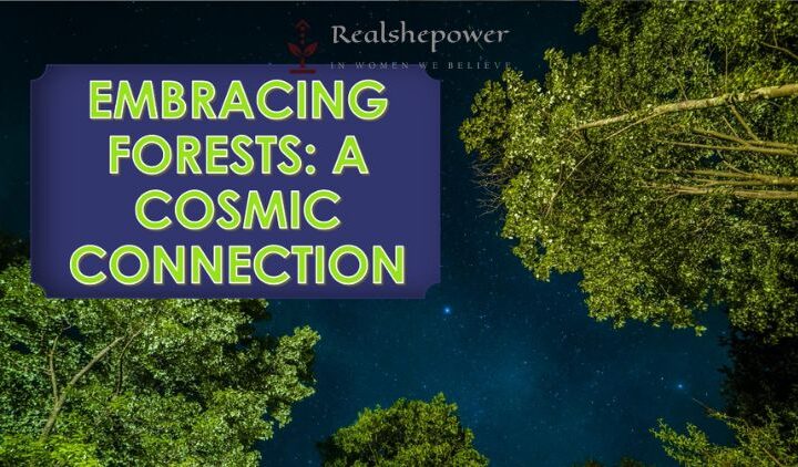 Embracing Forests: The Living Spirit Of The Cosmos
