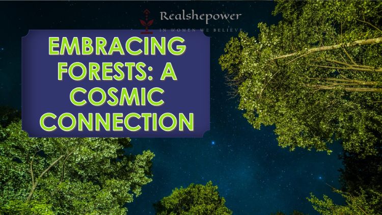 Embracing Forests: The Living Spirit Of The Cosmos