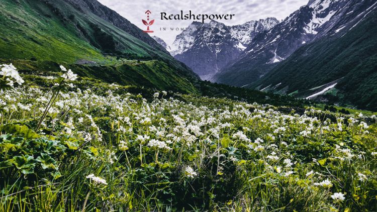 Exploring Uttarakhand: 8 Surprising Gems Beyond The Ordinary 6 Charas Uttarakhand