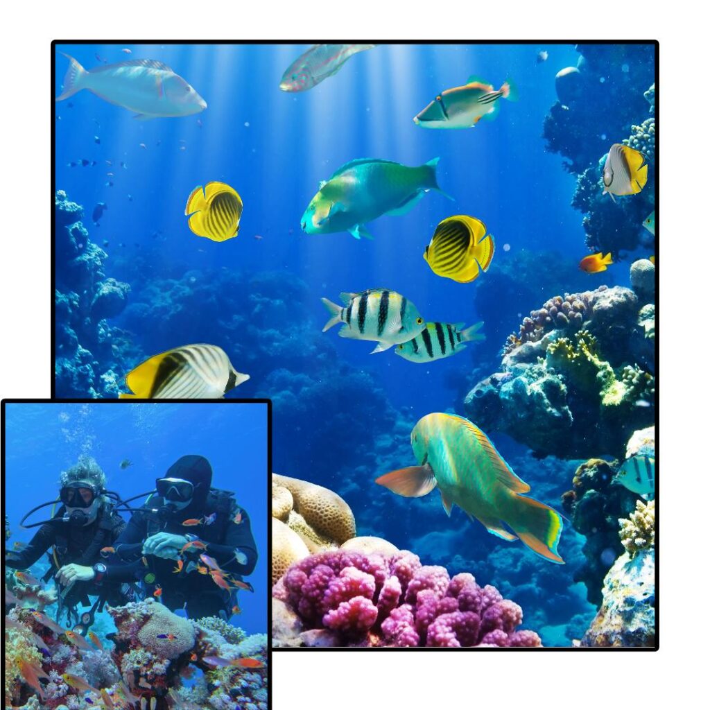 1. Sink Your Toes Into Untouched Sandscapes: Beach Bliss In Lakshwadeep