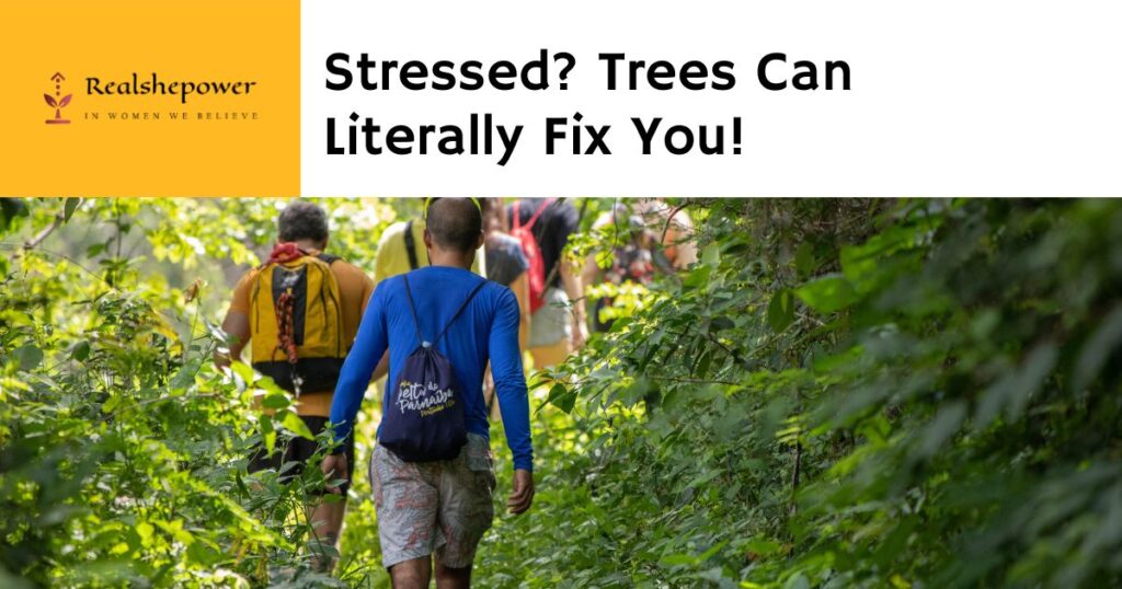 What Is Forest Bathing?