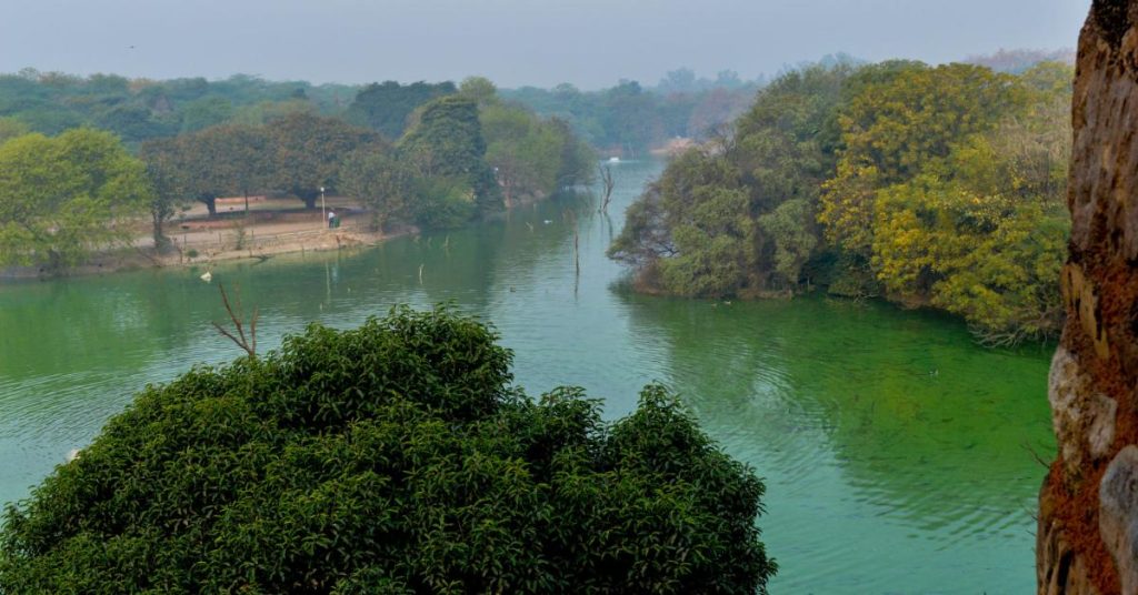 Discover Delhi Like Never Before: Unveiling 8 Hidden Gems And Iconic Landmarks! 6 Hauz Khas Village