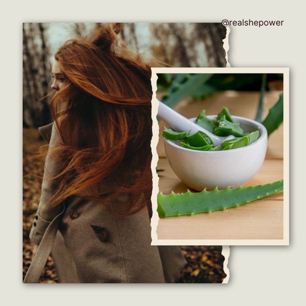 Aloe Vera For Hair Fall Control