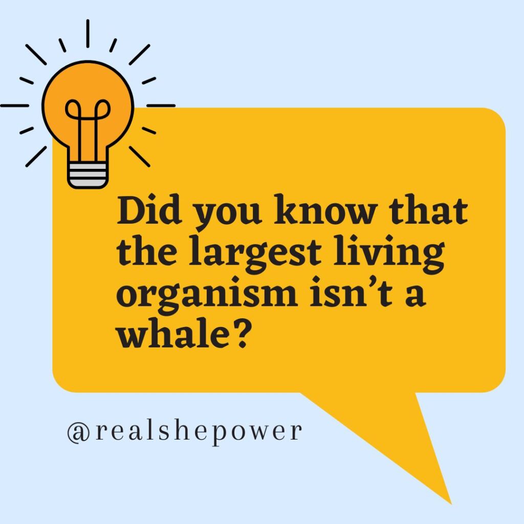 10 Shocking Scientific Facts That Will Blow Your Mind 4 Whale