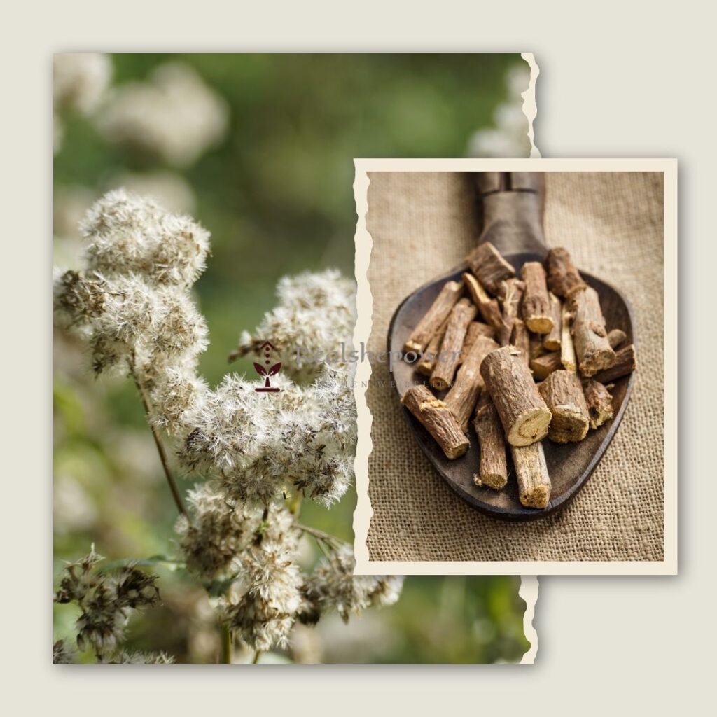 Valerian Root