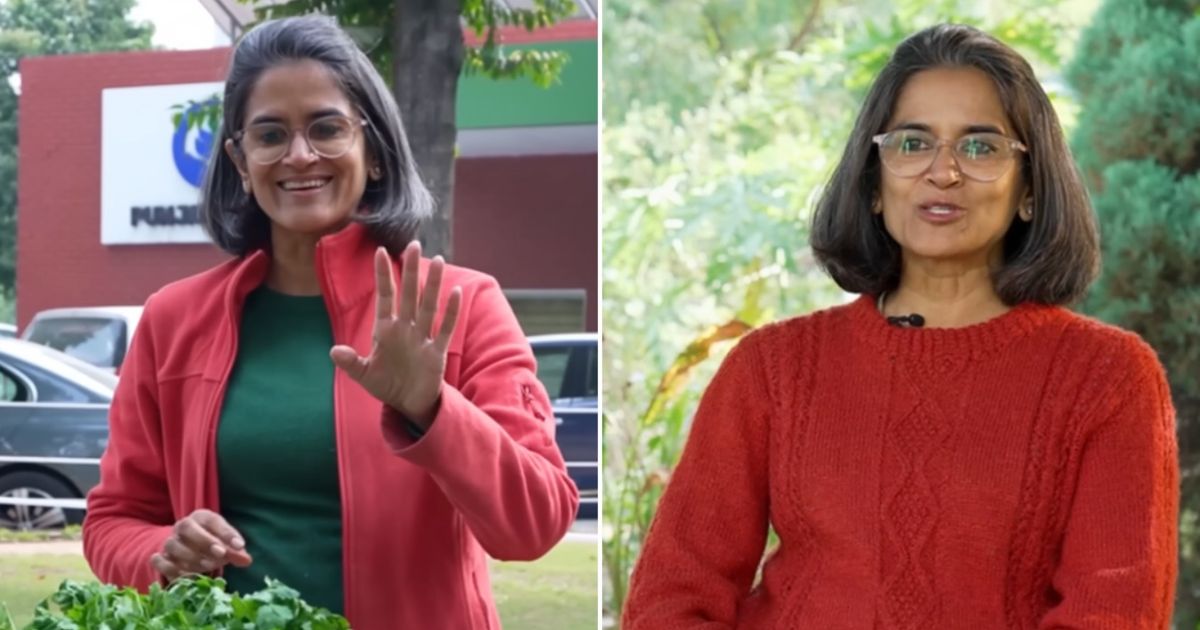 Ananda’s Journey: From Mumbai’s Hustle To A Self-Sustaining Forest Haven Near Chandigarh