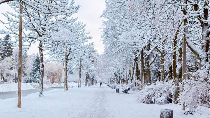 Best Places To Visit In January – February 2026 In India