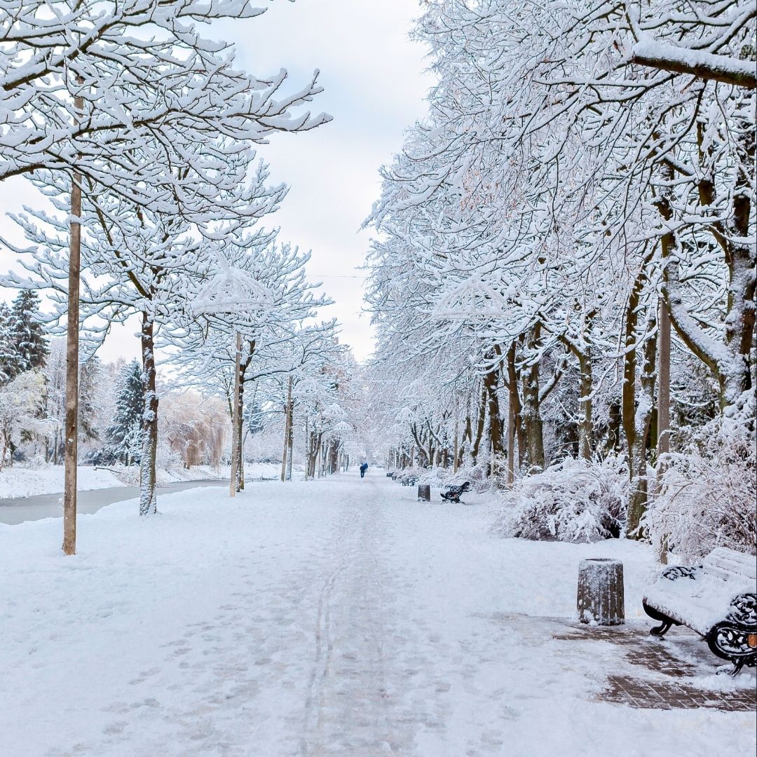 Best Places To Visit In January – February 2026 In India