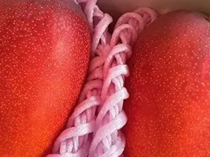 This Farmer Hired An Army Of Guards To Protect A Fruit Worth More Than Your Car