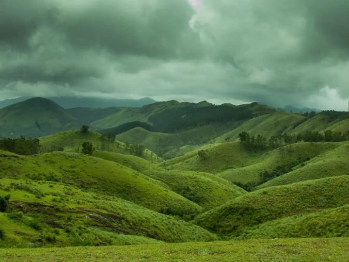 The “Anti-Munnar” Secret: Why This Silent Meadow Is 2026’S Most Exclusive Travel Flex!