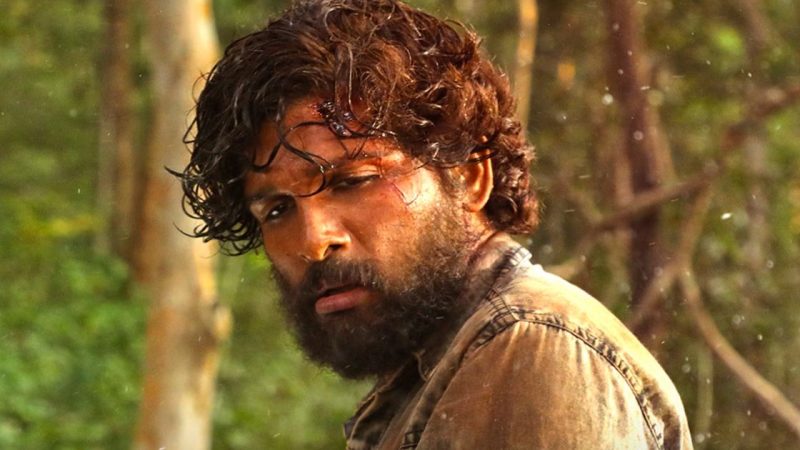 Delhi High Court Protects ‘Pushpa’ Persona: Allu Arjun Wins Landmark Legal Battle Against Ai Scams