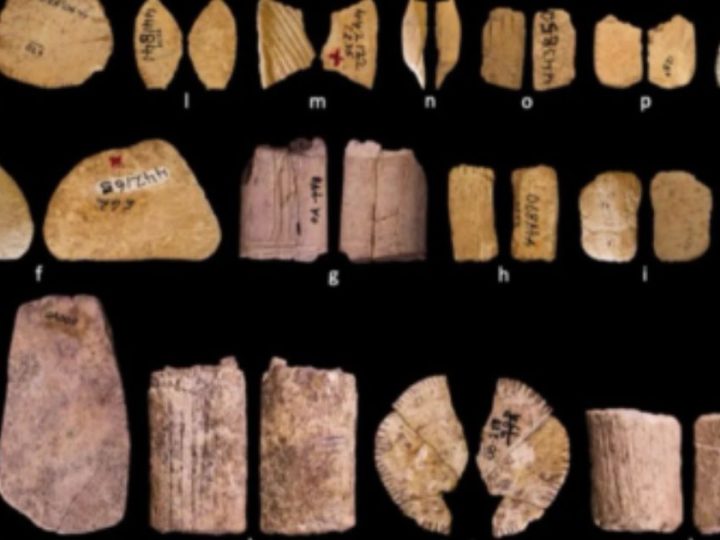Rolling The Bones: The 12,000-Year-Old History Of Gambling