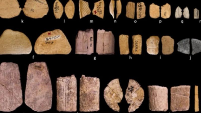 Rolling The Bones: The 12,000-Year-Old History Of Gambling