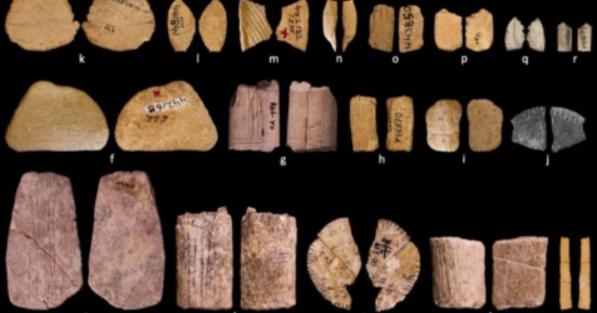 Rolling The Bones: The 12,000-Year-Old History Of Gambling