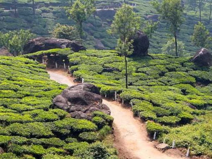 The Jorhat Renaissance: India’s No. 1 Trending Hub