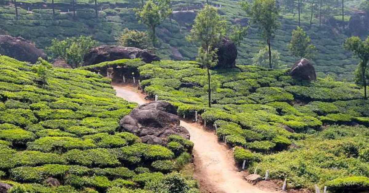 Jorhat Renaissance India Top Trending Destination 2026