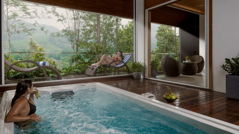 The “Forbidden” Mist Of The Western Ghats: Why This Emerald Labyrinth Is The Ultimate Escape For Those Who Want To Disappear!