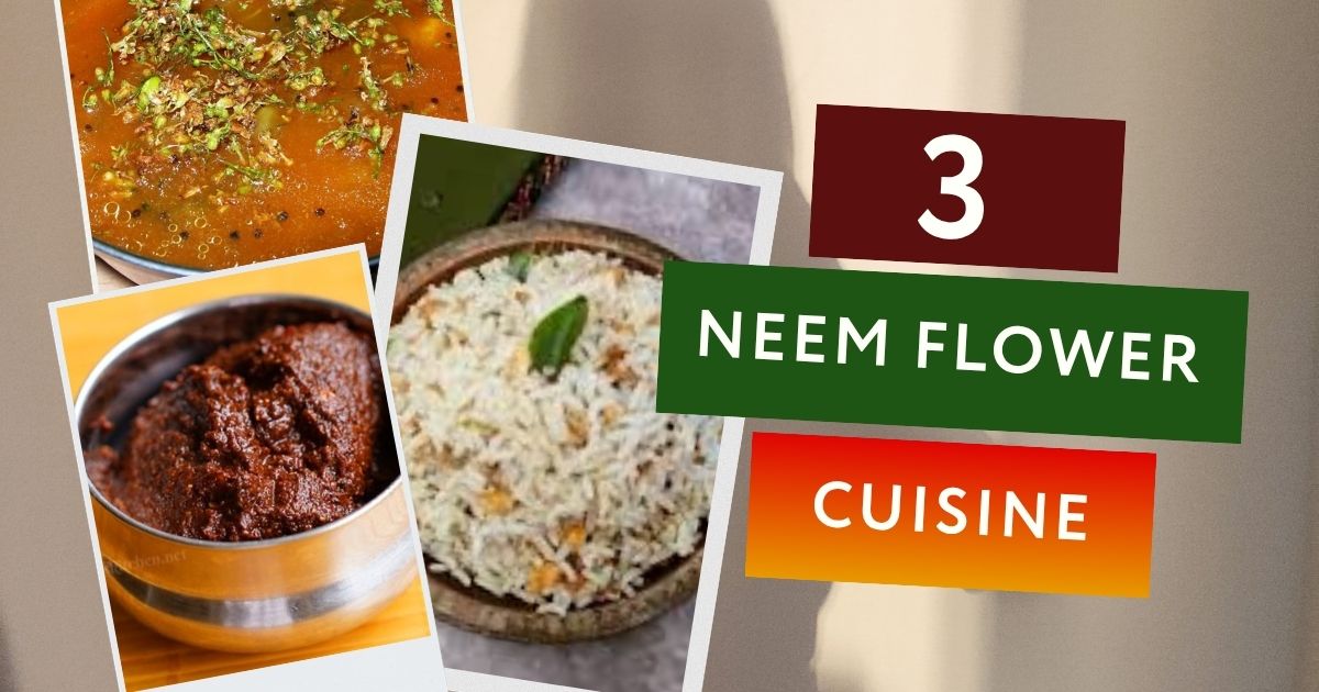 Traditional Neem Flower Recipes South India Veppampoo Guide