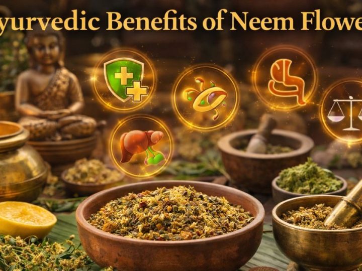 Ayurvedic Benefits Of Neem Flowers