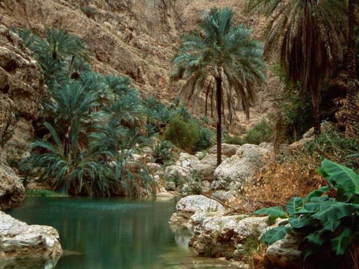 Omg This Wadi Shab Desert Oasis Is A Real Life Secret Garden