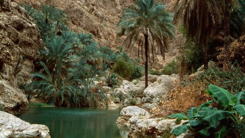 Omg This Wadi Shab Desert Oasis Is A Real Life Secret Garden